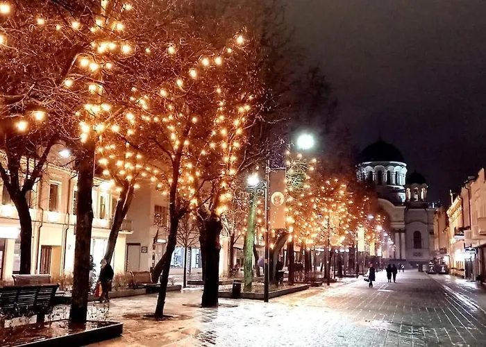 Laisves Apartman Kaunas